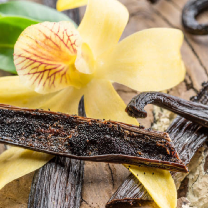 Madagascan Vanilla Bean