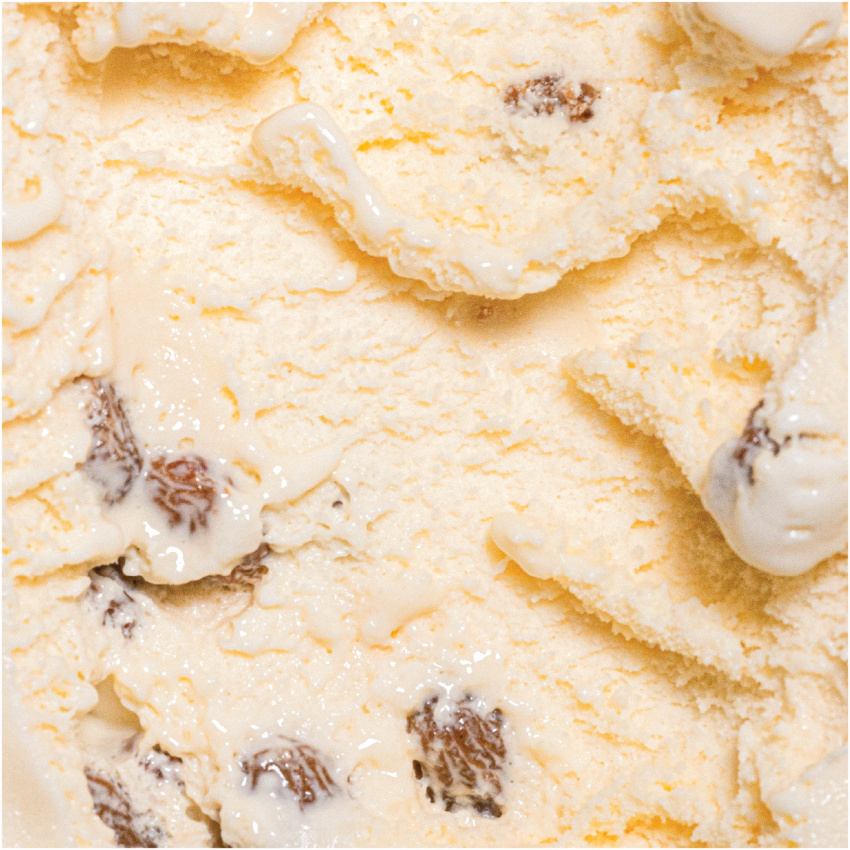 Rum Raisin