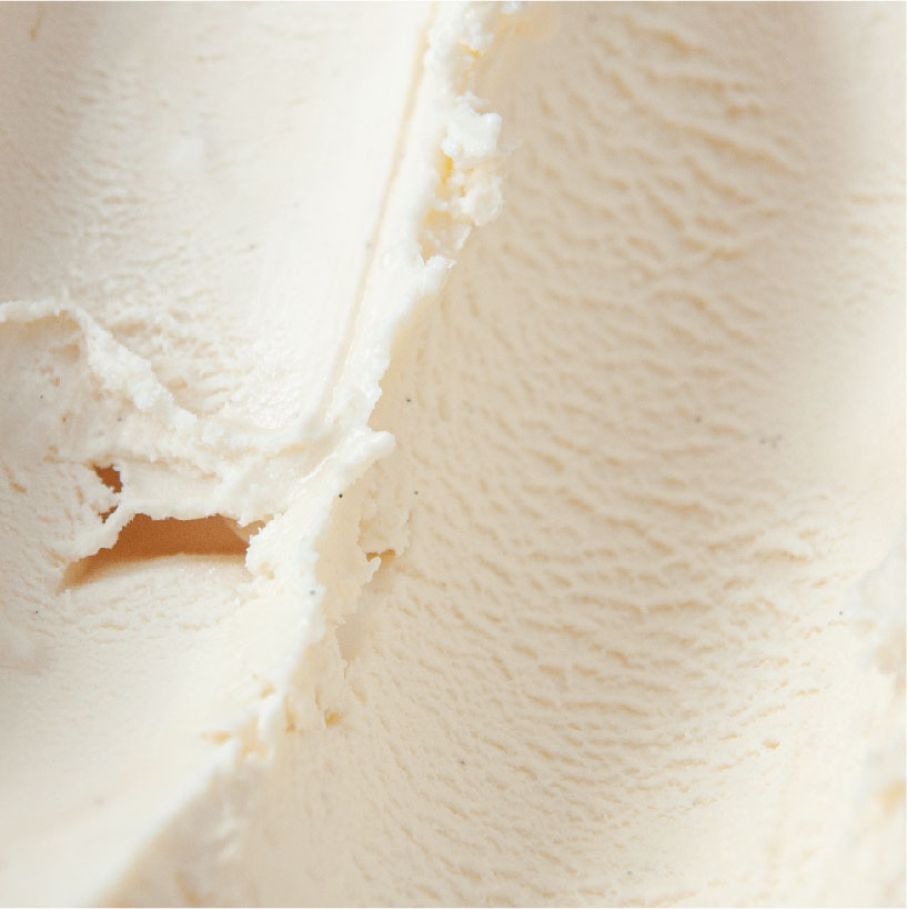 Madagascan Vanilla Bean