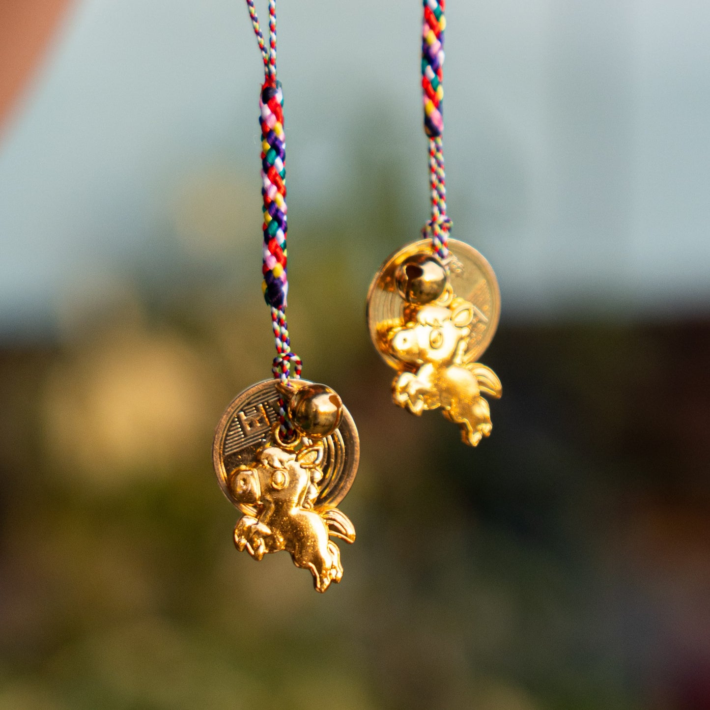 Cặp đồng 5 yên Nhật Bản may mắn